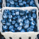 blueberry-1326154_1920